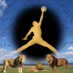 Meet your Posher, Joe